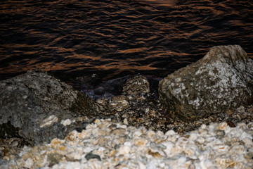 stones in water