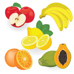 Set of fruit vector illustration
