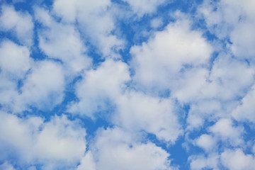 順光のふわふわした隙間雲