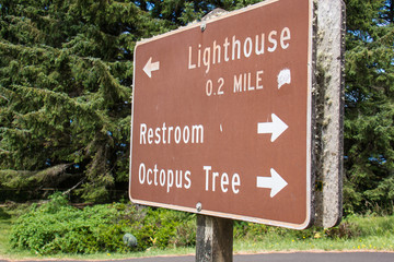 Sign in Cape Meares Oregon telling visitors directions on how to get to the Lighthouse, restrooms and Octopus Tree