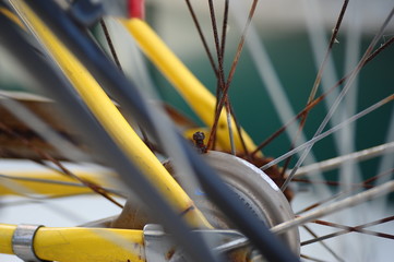 自転車のハブ