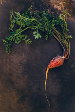 dragon carrot