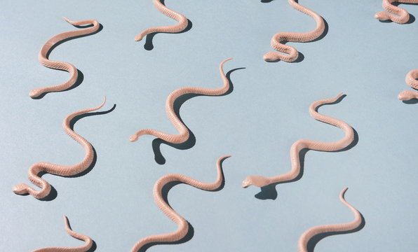 Snakes