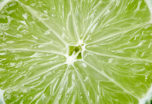 Cross section view of a Lime