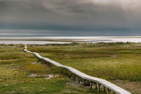 Winter Landscape in Cape Cod