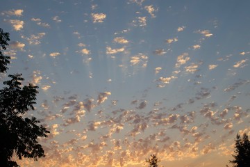 Shiloh Ranch Regional Park in southeast Windsor includes oak woodlands, forests of mixed evergreens, ridges with sweeping views of the Santa Rosa Plain, canyons, rolling hills, a shaded creek.