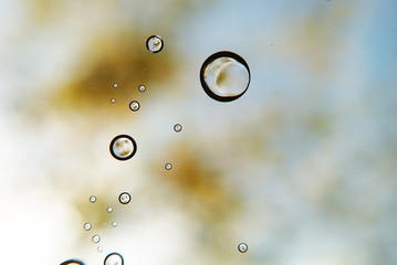 Rain drops as background