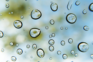 Rain drops as background
