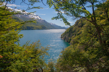 Fototapeta na wymiar Snowy mountains and trees in landscape of lake Lago O'Higgins or Lago San Martin in Patagonia in Chile and Argentina