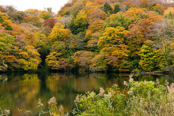 Lake pond in autumn season