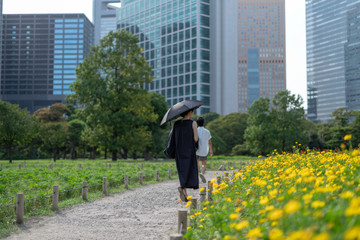 夏の始まり