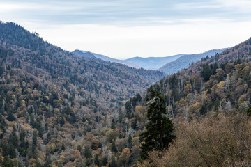 Fototapeta premium Scenics near the Newfound Gap in the Great Smoky Mountains National Park