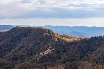 Fototapeta na wymiar Scenics near the Newfound Gap in the Great Smoky Mountains National Park