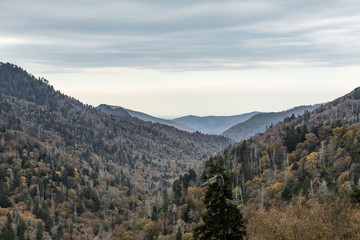 Scenics near the Newfound Gap in the Great Smoky Mountains National Park
