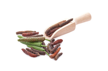 Long pepper or Piper longum isolated on white background
