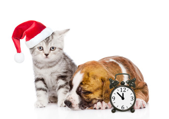 Sleeping puppy and tabby kitten in red christmas hat with alarm clock. isolated on white background