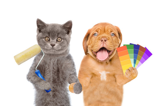 Funny puppy and kitten with  paint roller and color samples. isolated on white background
