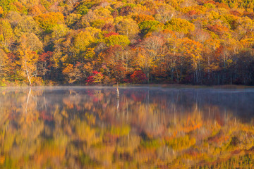 長野県　鏡池に映る紅葉