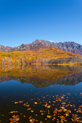 長野県　鏡池に映る紅葉