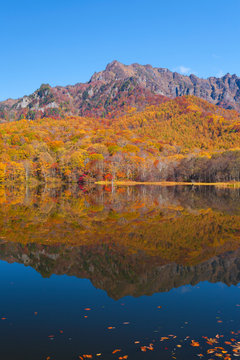 長野県 鏡池に映る紅葉 © 俊樹 高椋