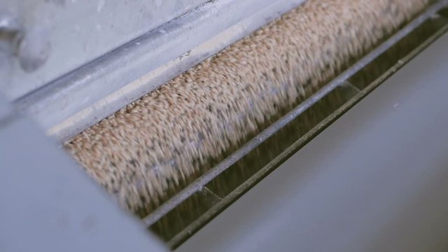 Manufacture of flour and cereals. Wheat milling. Production of wheat flour. Wheat flour milling equipment at the plant.