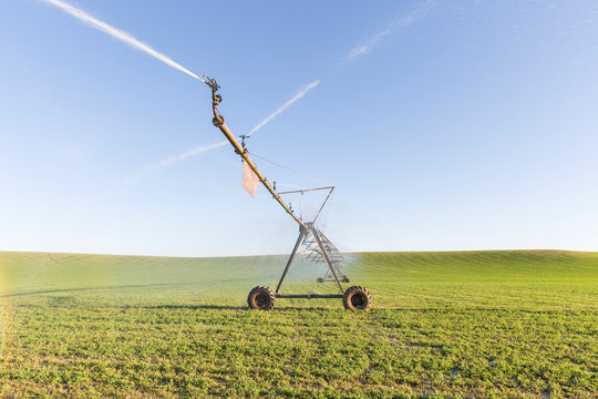 Agricultural sprinkler spraying water on a field