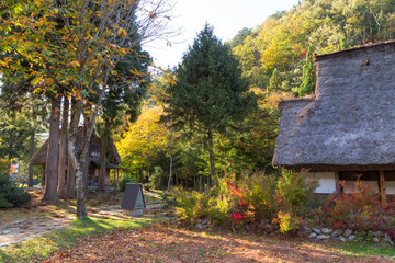 岐阜県　秋の白川郷の紅葉