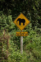 Elephant crossing sign 