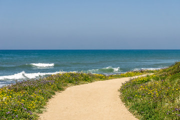 Fototapeta premium View of the shores of the Mediterranean sea with purple and yellow flowers on the foreground.