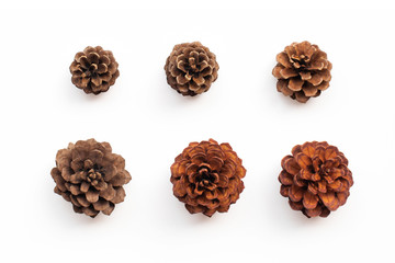Pine cones isolated on white background. Object with clipping path. Top view