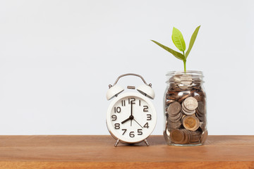 Plant growing on coins in glass jar and white alarm clock on wooden table with white background. Money for business planning investment. Investment and saving concept
