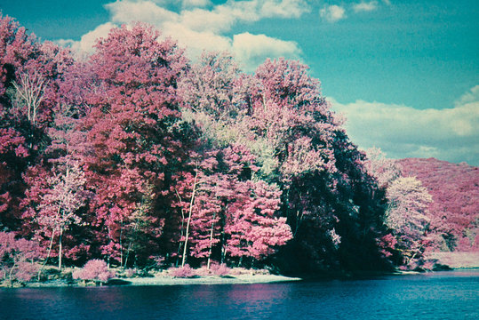 Infrared Lake and Forest