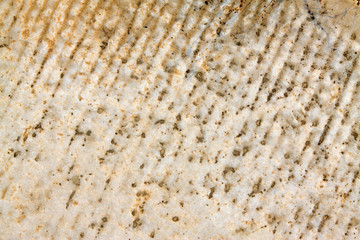 Surface texture of rocks