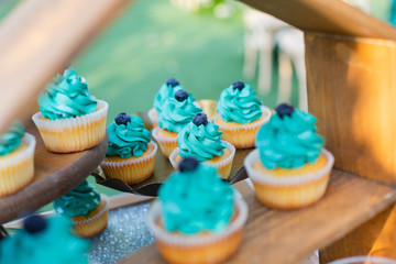 Colorful cream cakes, cookies, donuts on dessert tables.