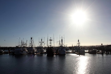 Obraz premium Harbor port for ship or Ark at Los Angeles, USA. Travel for sight-seeing of City View. 