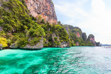 Obraz premium Monkey bay in Phi Phi island . Phuket . Thailand