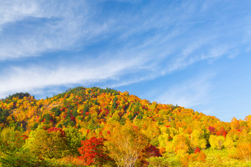 岩手県　八幡平の紅葉