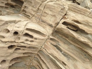 侵食された海の岩