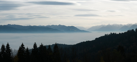 Fototapeta na wymiar cloud banks over deep valleys and a faint mountain ridge line on the horizon with clouds above and framed by coniferous fir trees on both sides in the Appenzell region of Switzerland