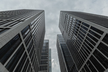Urban high buildings, look up