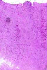 pink background