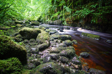 Nordirland Rundreise / Natur /Landschaft 