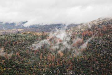 view of foggy mountain range © Attila Adam