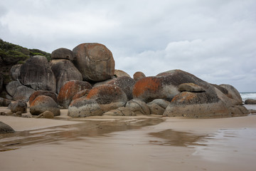 Whisky Bay, Wilsons Promontory, Victoria, Australia