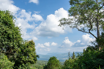 Fototapeta na wymiar The point of view of the mountains and the town of Loei at Phu Ruea National Park in Loei, Thailand.