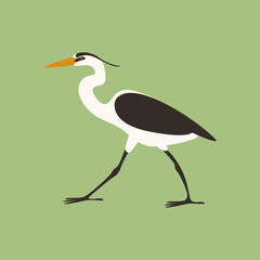 heron walking vector illustration flat style