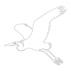 the heron is flying vector illustration   lining draw  