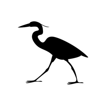 heron walking vector illustration black silhouette