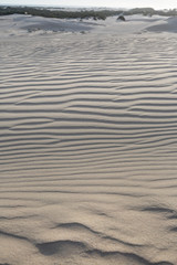 The Big Drift, Wilsons Promontory, Victoria, Australia