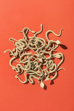 Snakes